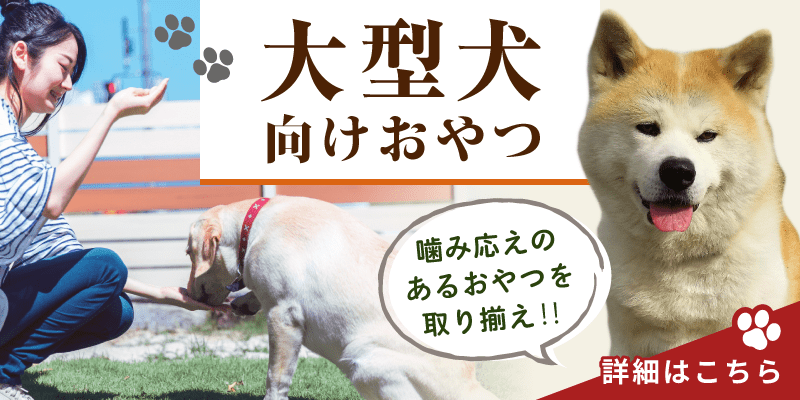 大型犬おすすめおやつ特集