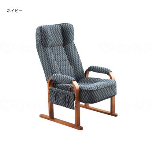 大和通商 楽座イス SWN-358G12N 椅子 座椅子 高座 いす イス 介護 介護用品 福祉用品 高齢者