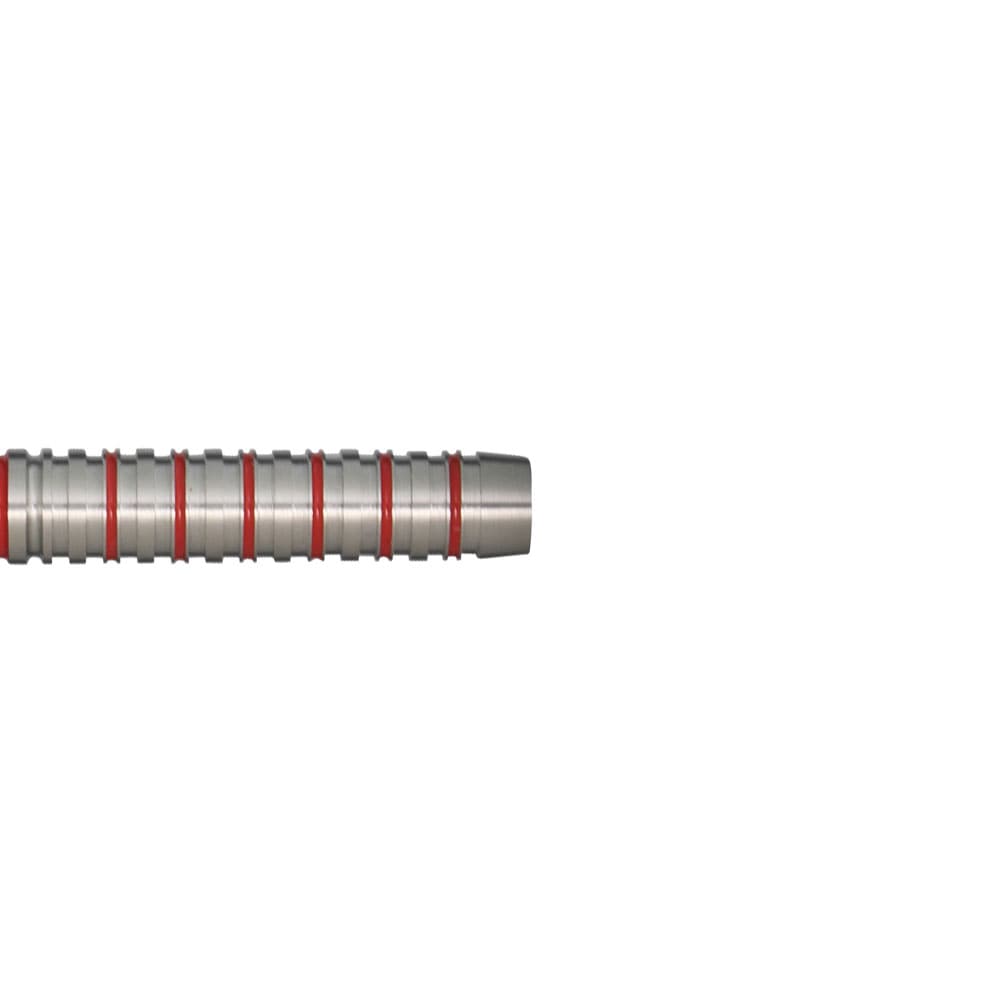 ターゲット ネイサン・アスピナル 80 スティール 24g TARGET THE ASP