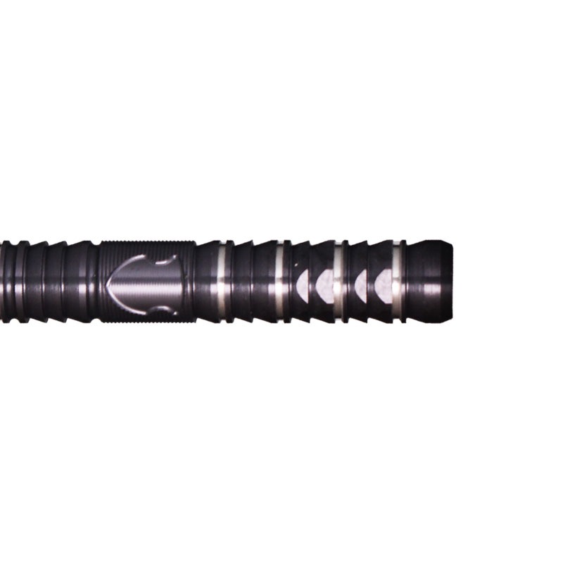 ターゲット ブラックマーク ドラコ2 スイスポイント スティール 23g