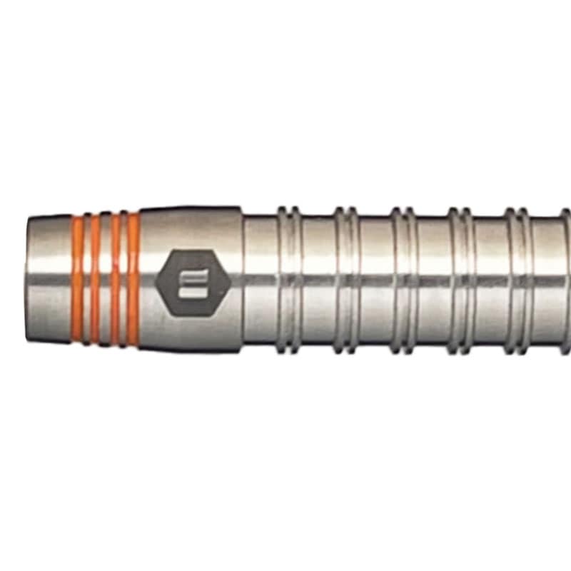 ダーツ バレル ユニコーン レパーデス 大井絵津子 Unicorn Leopardess