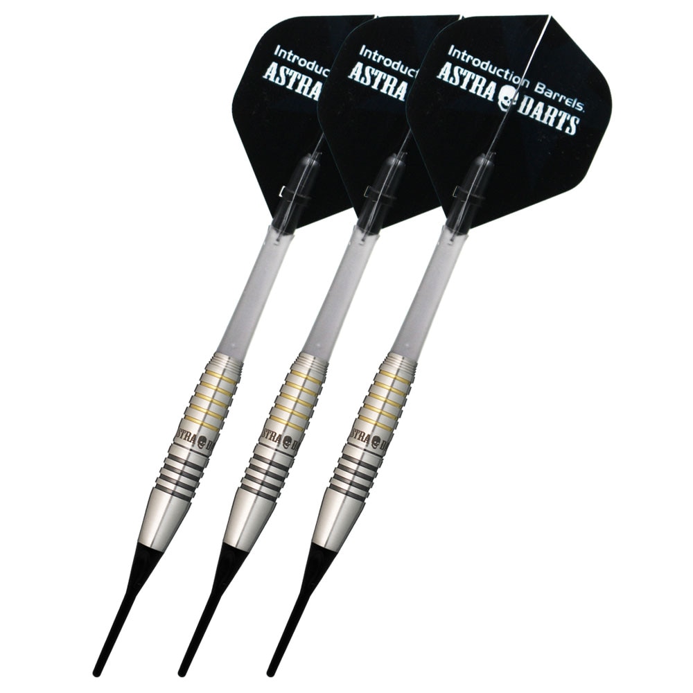 アストラダーツ ティーアロー4 谷内太郎 ASTRA DARTS T-arrow4 YACHI