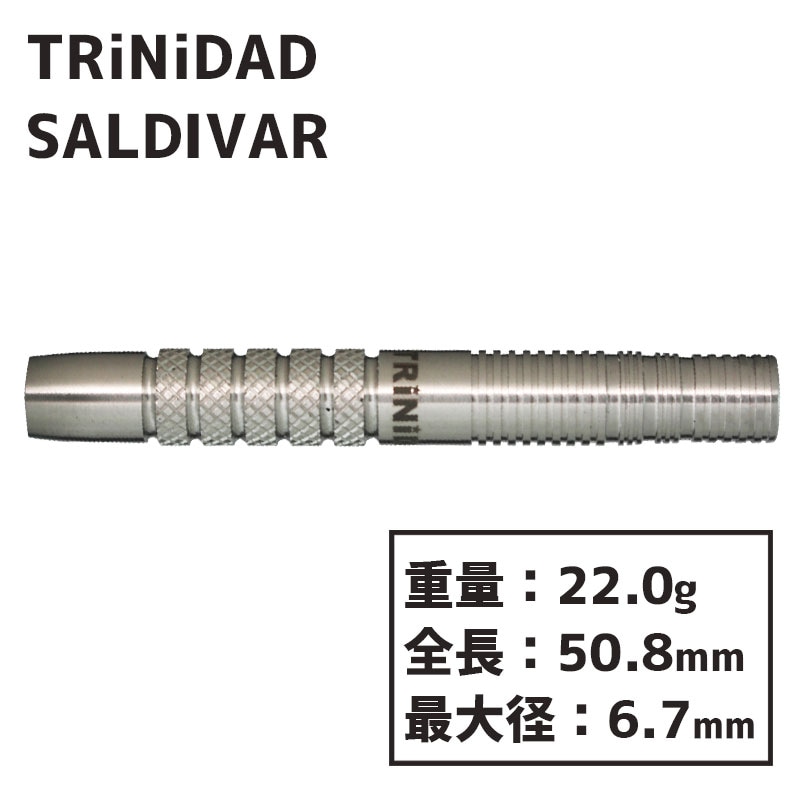 SALDIVAR type2 サルディバル2 スティール-