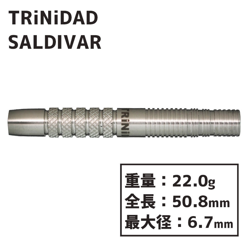 トリニダード サルディバル 中西永吉 TRiNiDAD SALDIVAR ダーツ バレル