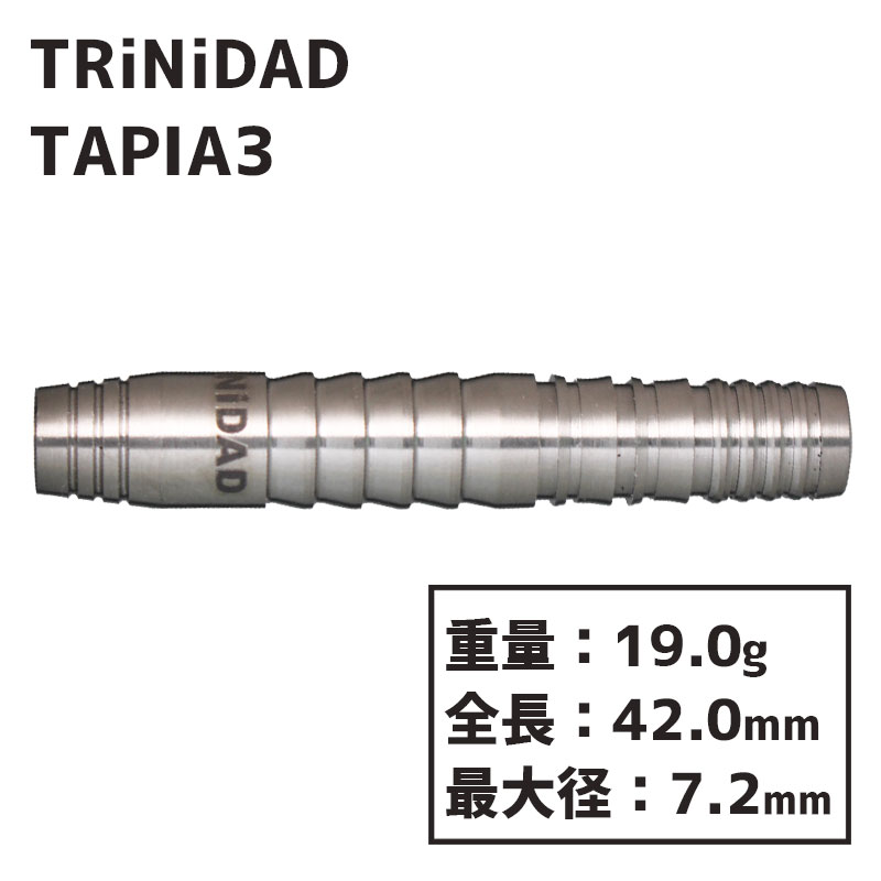 ȥ˥ ԥ3 TRiNiDAD TAPIA TYPE3  Х