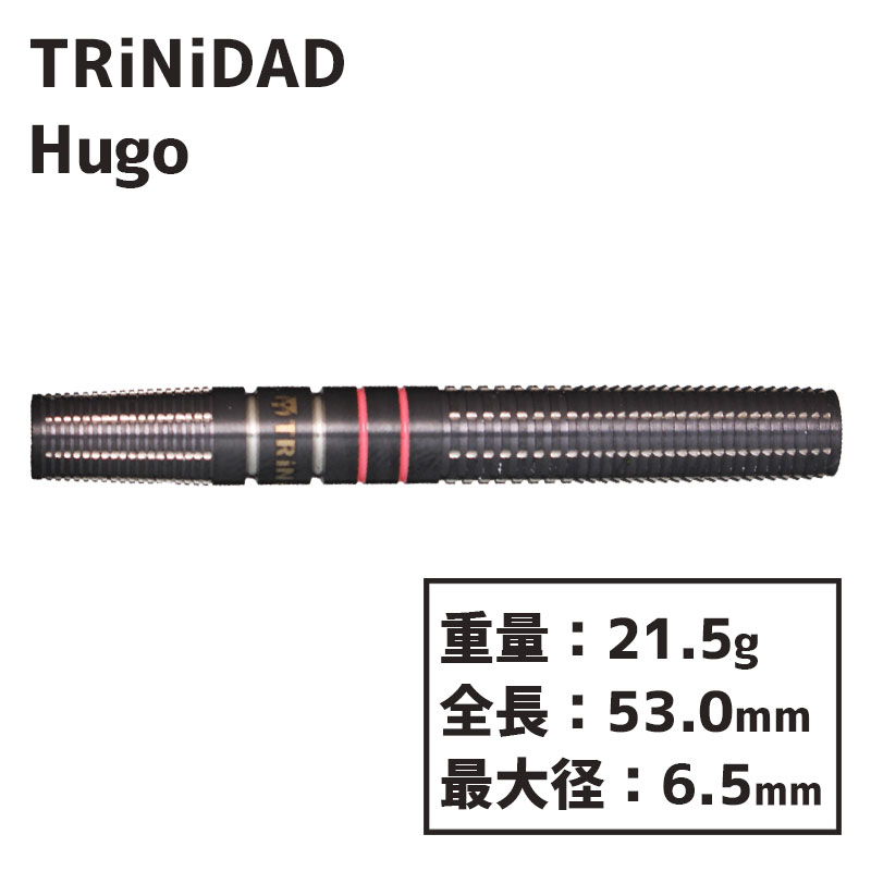 ȥ˥ ҥ塼 TRiNiDAD Hugo  Х