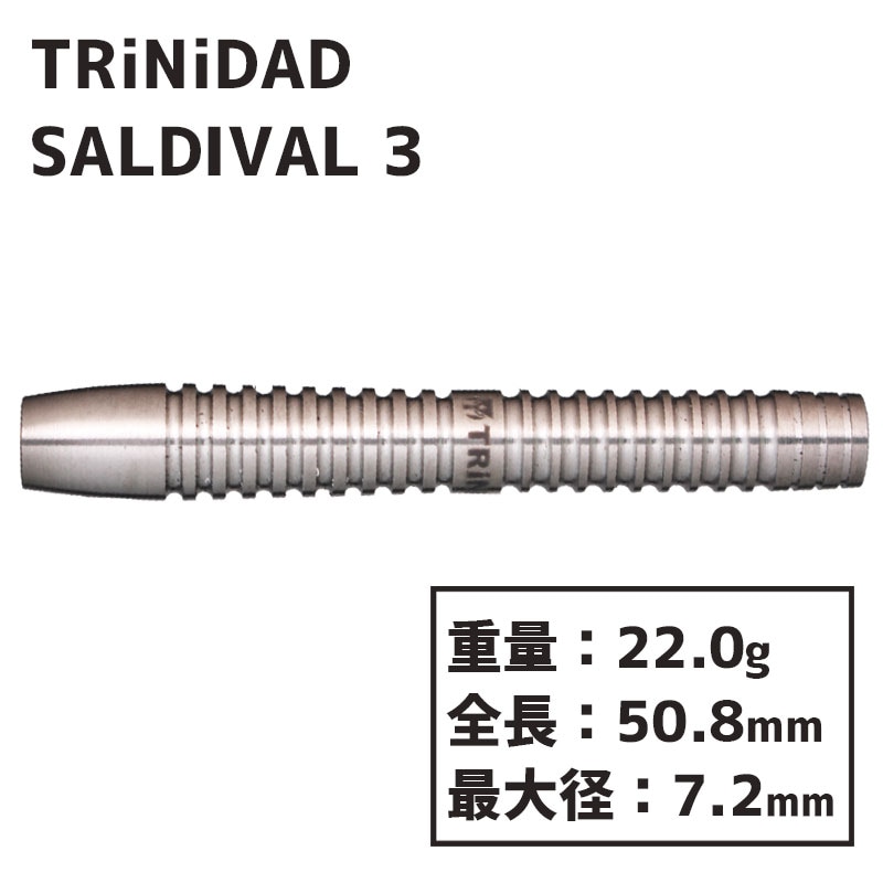 ȥ˥ ǥХ3 TRiNiDAD SALDIVAL TYPE3 ʵ  Х