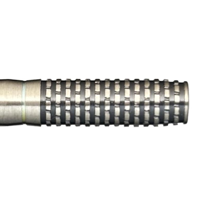 ダーツ　バレル　ヒューゴ2 ソフト トリニダード ヒューゴ 2 TRiNiDAD HUGO2 Hugo Leung ダーツ