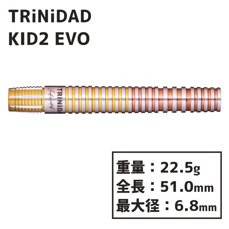 トリニダード キッド2 エボ TRiNiDAD KID TYPE2 EVO 後藤智弥 ダーツ