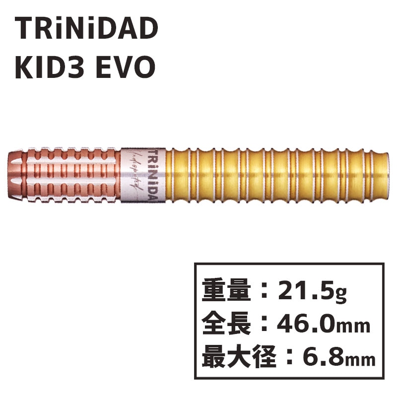 トリニダード キッド3 エボ TRiNiDAD KID TYPE3 EVO 後藤智弥 ダーツ
