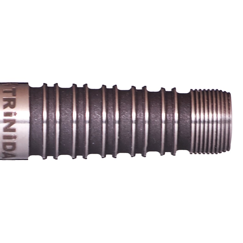 �ȥ�˥����� �����ޥ�7 TRiNiDAD ROMAN TYPE7 ���Ƽ�ͳ ������ �Х��