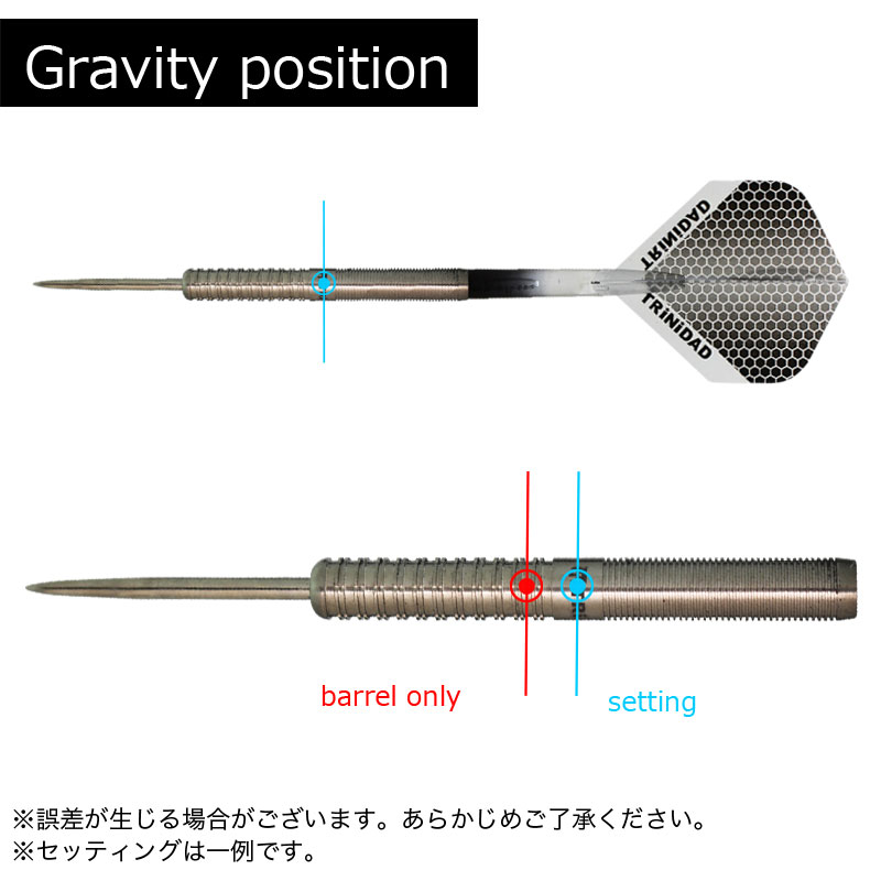 トリニダード ダーツ ホセ・デ・ソウサ タイプ2 20g スティール