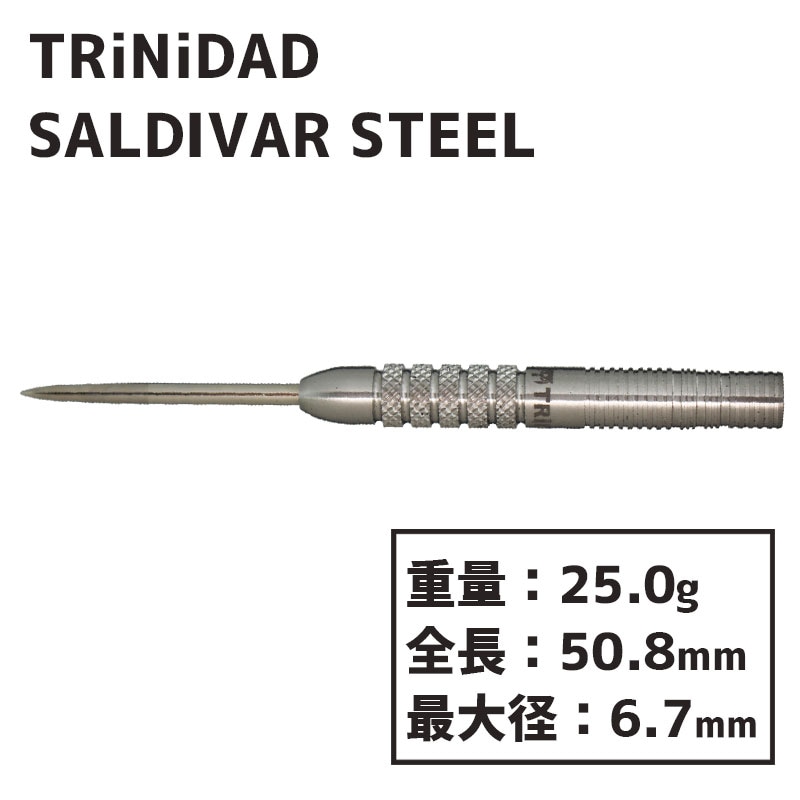 トリニダード サルディバル 中西永吉 スティール TRiNiDAD SALDIVAR STEEL ダーツ バレル-ダーツショップMAXIM東京