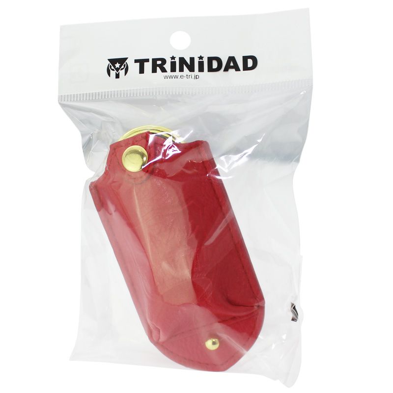 TRiNiDAD ȥ˥ɼ󤫤ĥ  ԥ