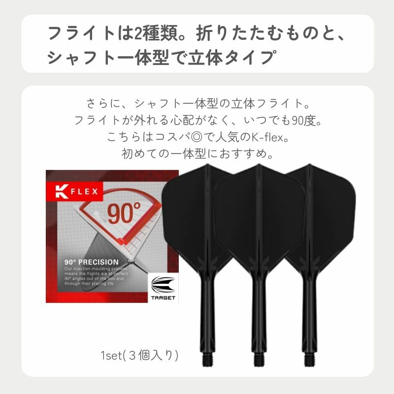 ダイナスティ刀入門＆ダーツケース 一式セット | セット商品 | ダーツ