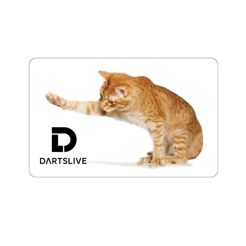 ダーツライブカード DARTSLIVE レア 猫 緑21 - ダーツ