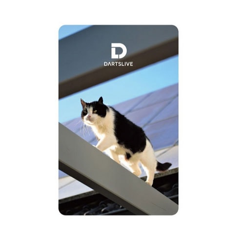 ダーツライブ カード 56-6 dartslive game card 56-6 | アクセサリー