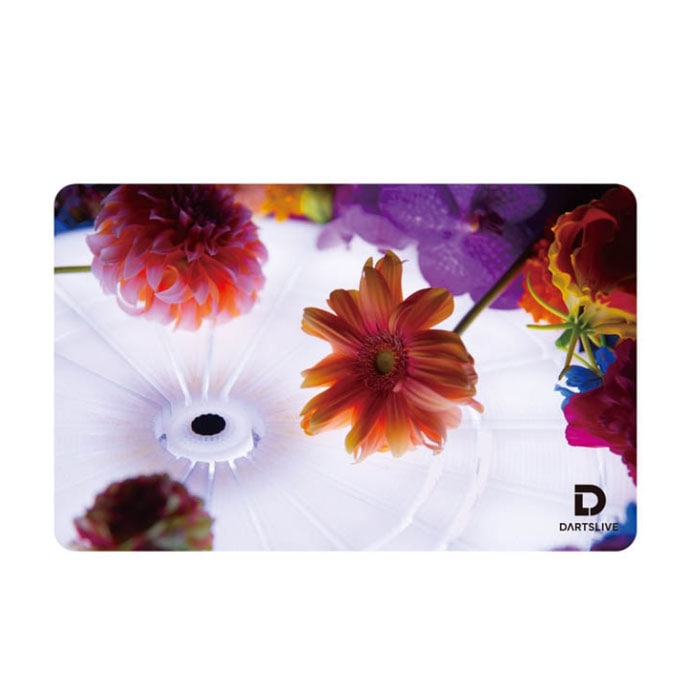 ダーツの伝説　ダーツライブカード ダーツライブ カード 57-14 dartslive game card 57-14 | アクセサリー