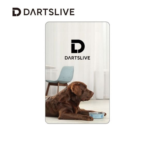 DARTSLIVE ダーツカード 限定 アクセサリ > ダーツライブカード > DARTSLIVE CARD #056 ＜02