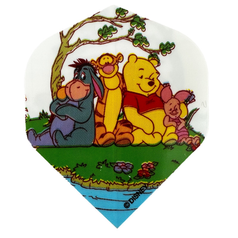 ǥˡ ޥå ե饤 ޤΥס Disney Magic Flight Winnie the Pooh ĥե饤