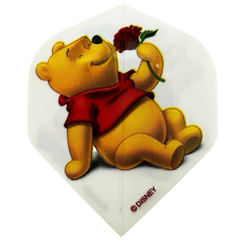 ǥˡ ޥå ե饤 ޤΥס Disney Magic Flight Winnie the Pooh ĥե饤