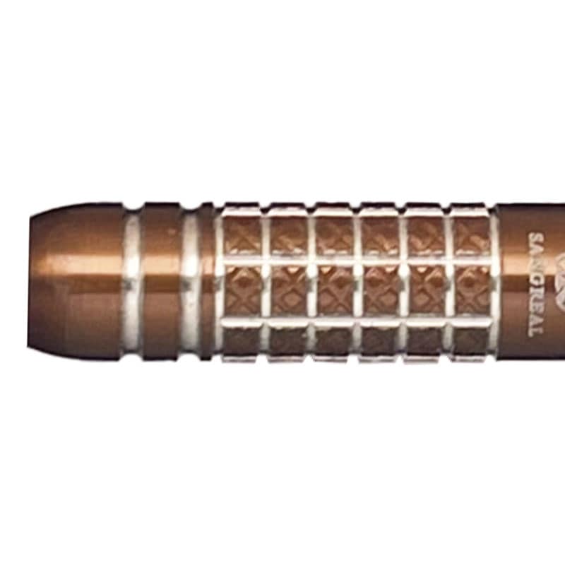 ダーツ バレル サングリアル バンディエラ ダーツ 津村友弥