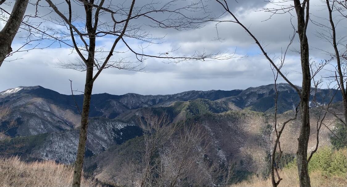 Primeval forest in Kyotanba, Kyoto Prefecture