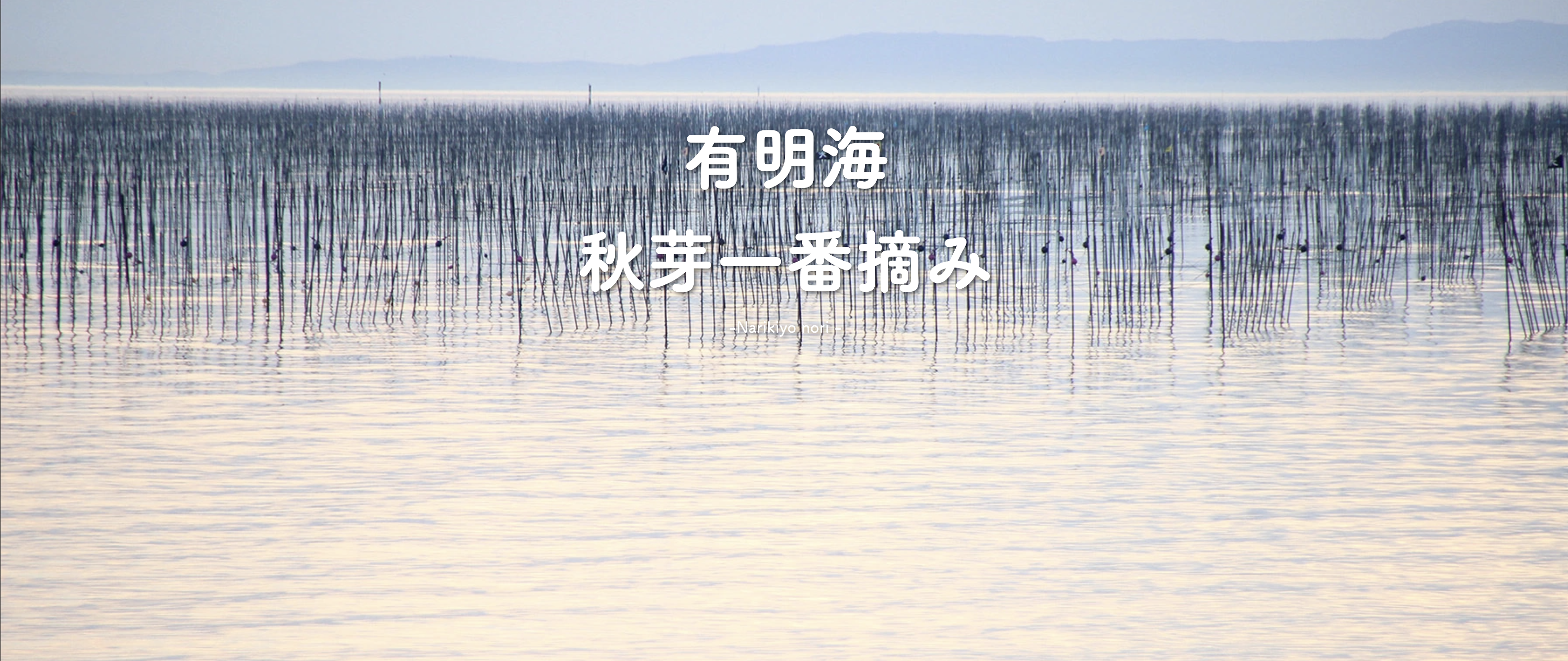 成清海苔店の商品イメージ