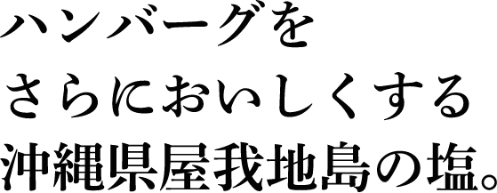 ハンバーグをさらにおいしくする沖縄県屋我地島の塩。