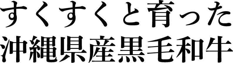 すくすくと育った沖縄県産黒毛和牛