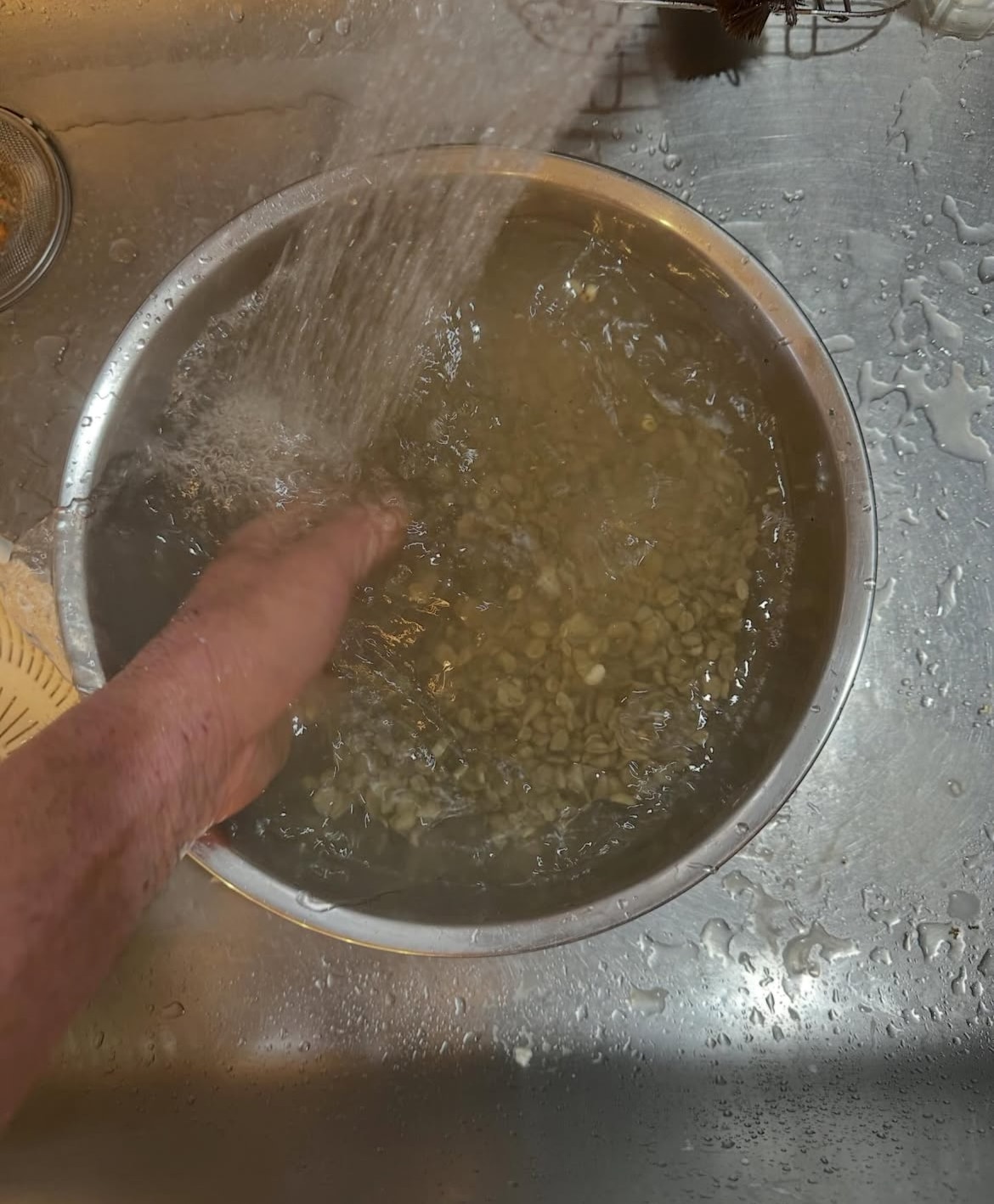 丁寧に珈琲豆を水洗いしている写真
