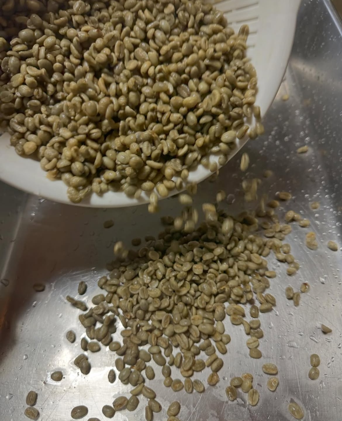 珈琲豆を丁寧に選別している写真