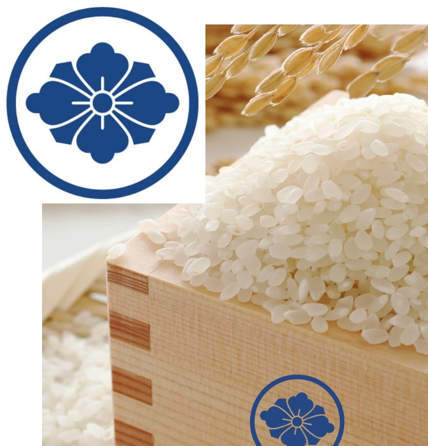 精米されたお米