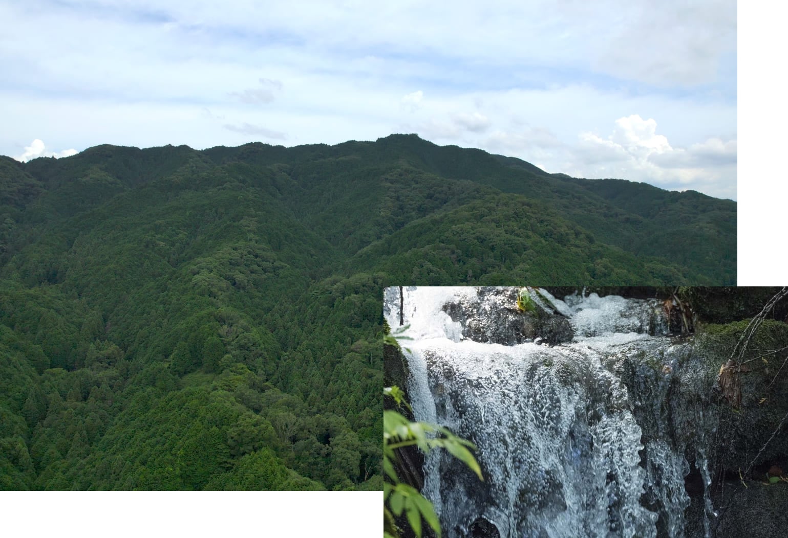 天理の大地と龍王山の清らかな水