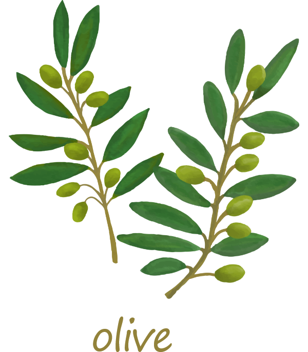 オーガニックオイル olive(オリーブ)
