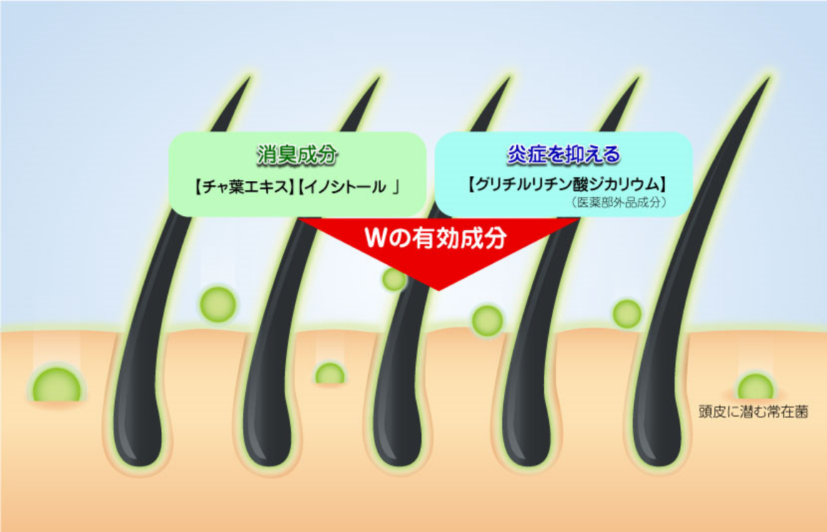 毛髪、頭皮のにおいを防ぐ薬用シャンプーイメージ