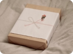ギフトラッピング のし