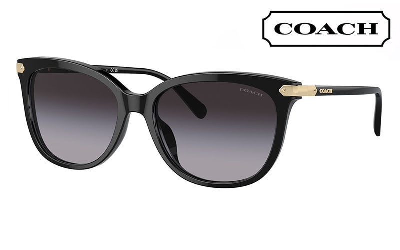 最新の激安COACH S2049 レディース サングラス Sunglasses サングラス/メガネ
