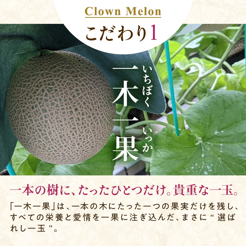 【桐箱入り】静岡クラウンメロンお取り寄せ