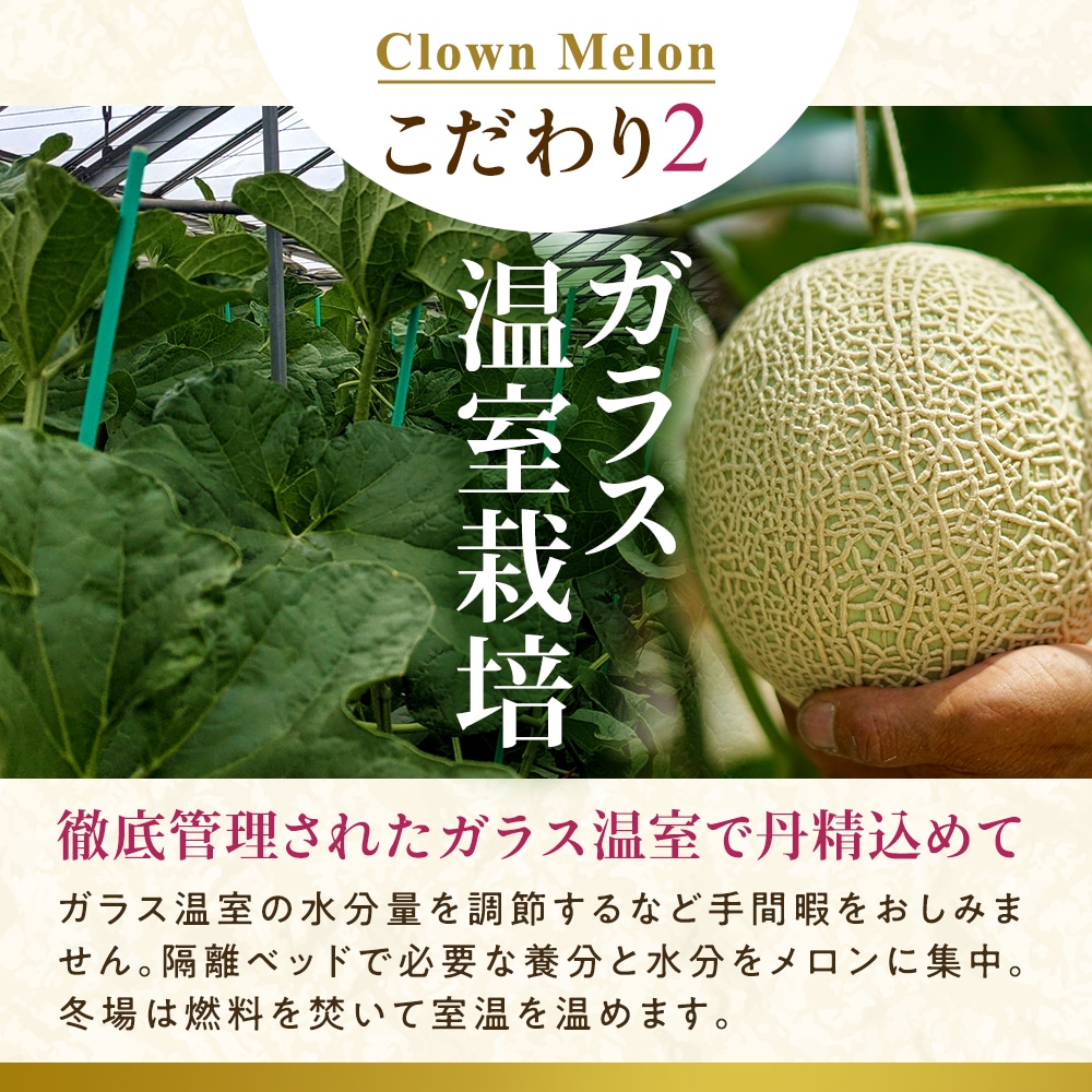 【桐箱入り】静岡クラウンメロンお取り寄せ