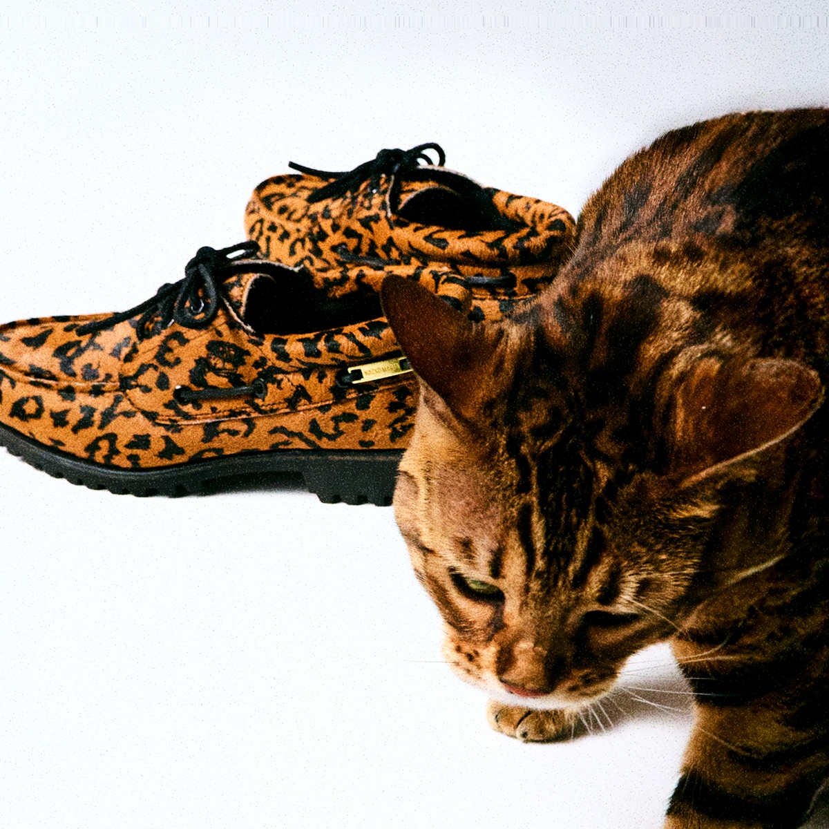 TIMBERLAND / WACKO MARIA<br>NEW ARRIVALS!!!｜News｜MELTING POT 