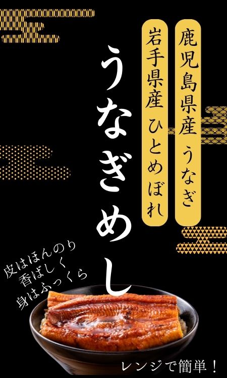 うなぎめし