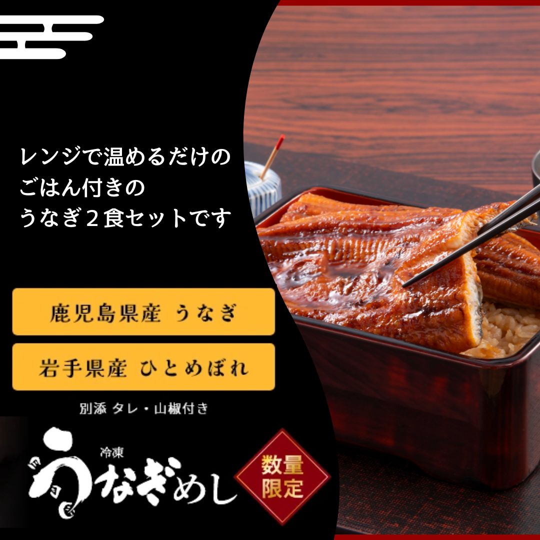 うなぎめし2食セット