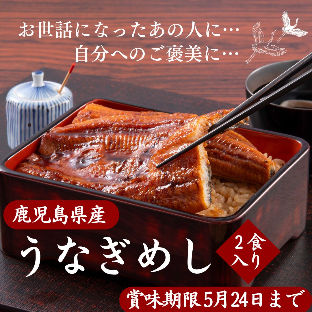 うなぎめし（２人前×2) 6458円(税込・送料別) 