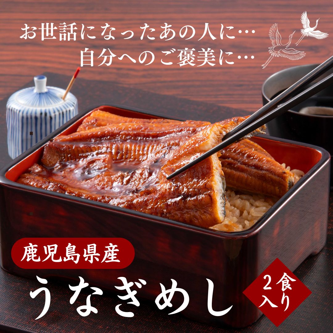うなぎめし（２人前×2) 6458円(税込・送料別)
