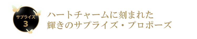 特別版 プロポーズ推奨 シンデレラのガラスの靴 プリンセス ブルー ボックス入り