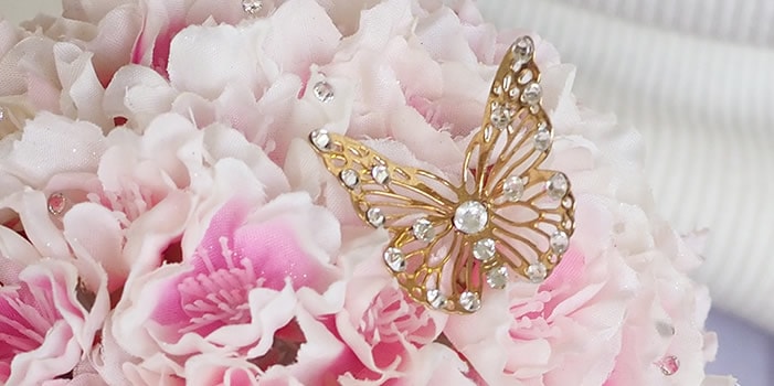 美の象徴　蝶々モチーフ