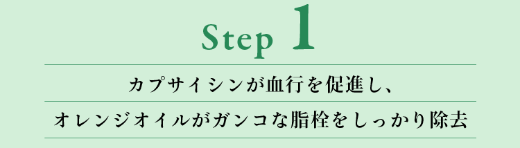 Step1ץ󤬷Ԥ¥ʤ󥸥뤬󥳤ʻ򤷤ä