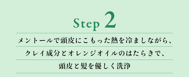 Step2ȡƬˤäǮޤʤ顢쥤ʬȥ󥸥ΤϤ餭ǡƬȱͥ