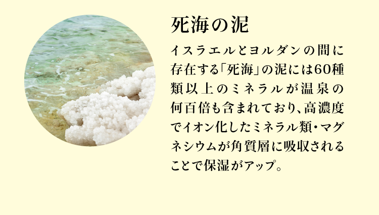 ೤ť饨ȥδ֤¸ߤֻ೤פťˤ 60 ʾΥߥͥ뤬βɴܤޤޤƤꡢǻ٤ǥ󲽤ߥͥࡦޥͥबѼؤ˵ۼ뤳Ȥݼåס